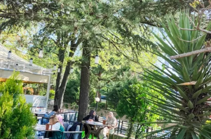 saltanat kebap dağ yolu